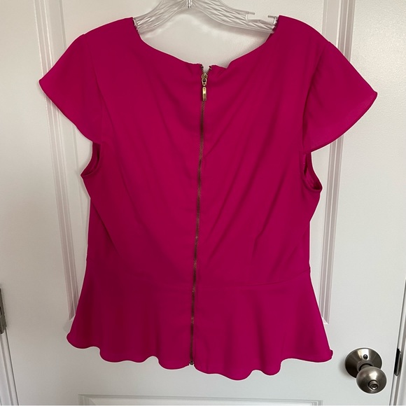 Pink Peplum Cap Sleeve Top - Picture 3 of 3